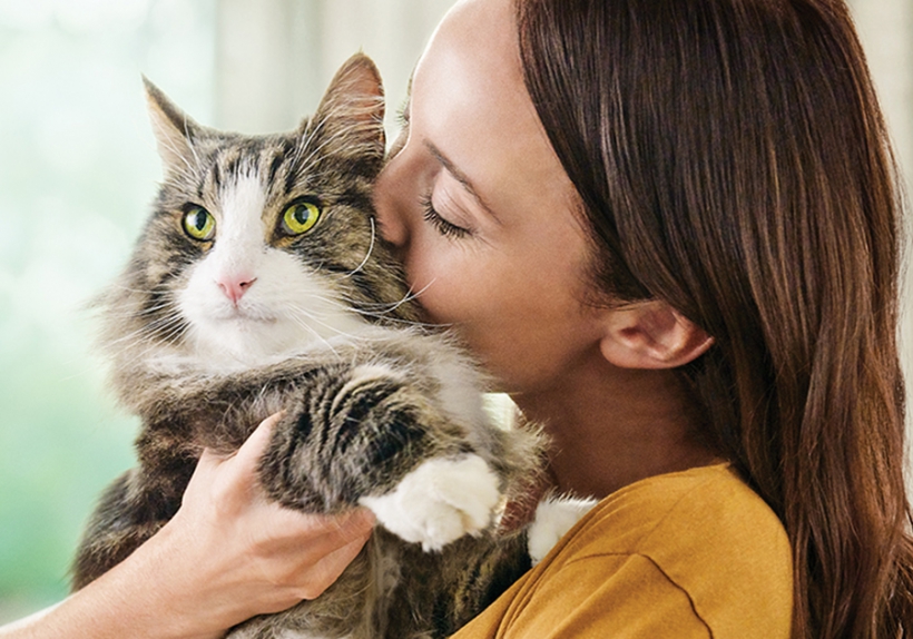 Endlich unbeschwert mit der Katze  spielen – ein neues Futter macht  das auch für Allergiker möglich.