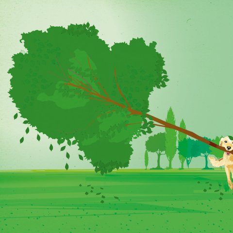 Illustration: Ivonne Schulze