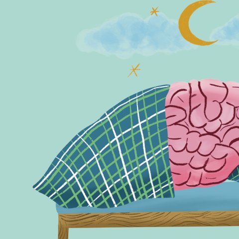 Illustration: Stephanie Hofmann