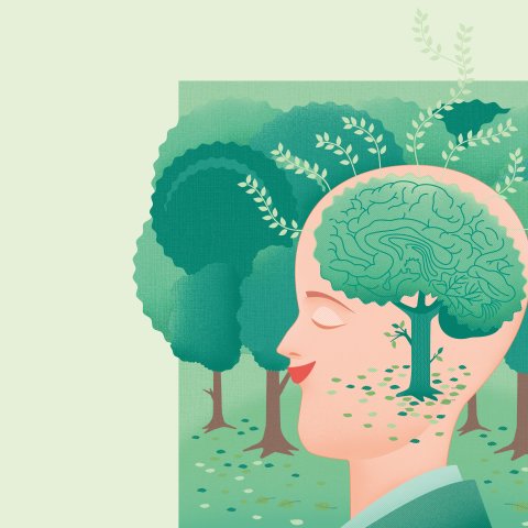 Illustration: Josephine Warfelmann