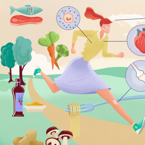 Illustration: Josephine Warfelmann