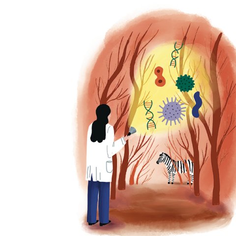 Illustration: Stephanie Hofmann