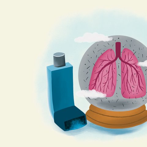 Illustration: Stephanie Hofmann